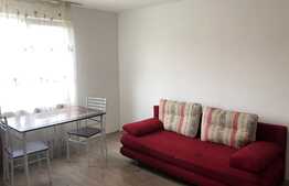 Garsoniera 22 mp, renovata recent, zona Expo Transilvania