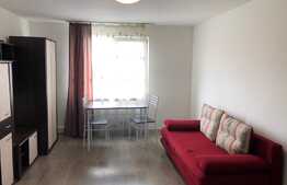 Garsoniera 22 mp, renovata recent, zona Expo Transilvania