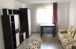 Garsoniera 22 mp, renovata recent, zona Expo Transilvania