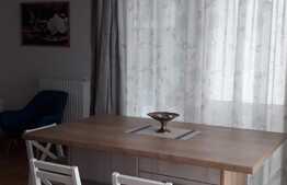 Apartament cu 2 camere, lux, terasa 22 mp, zona Parcului Central