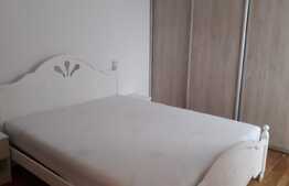 Apartament cu 2 camere, lux, terasa 22 mp, zona Parcului Central