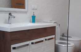 Apartament cu 2 camere, lux, terasa 22 mp, zona Parcului Central