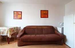 Garsoniera 22mp, etaj intermediar, finisata si mobilata, zona Bvd Muncii