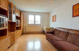 Garsoniera 22mp, etaj intermediar, finisata si mobilata, zona Bvd Muncii