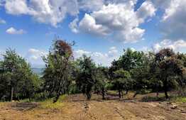 Teren 1700 mp, sat Gheorgheni