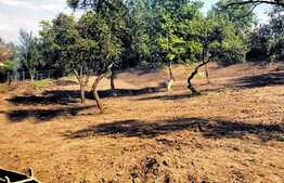 Teren 1700 mp, sat Gheorgheni