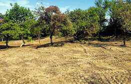 Teren 1700 mp, sat Gheorgheni