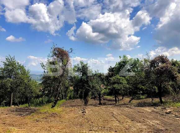 Teren de vânzare Feleacu - 52665TV | BLITZ Cluj-Napoca | Poza1