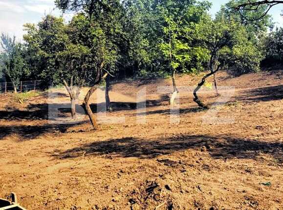 Teren de vânzare Feleacu - 52665TV | BLITZ Cluj-Napoca | Poza2