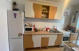 Apartament 1 camera, 33 mp, loc de parcare, zona strazii Porii