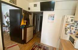 Apartament 1 camera, 33 mp, loc de parcare, zona strazii Porii