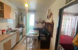 Apartament 1 camera, 33 mp, loc de parcare, zona strazii Porii