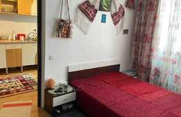 Apartament 1 camera, 33 mp, loc de parcare, zona strazii Porii