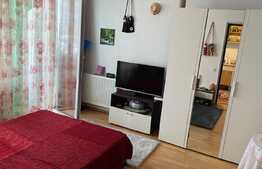 Apartament 1 camera, 33 mp, loc de parcare, zona strazii Porii