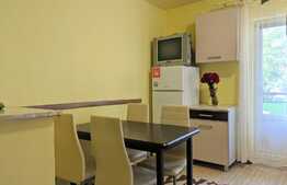 Apartament 2 camere decomandate, 50 mp,  zona Big 