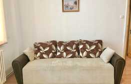 Apartament cu 3 camere, 62 mp, Pet-Friendly, zona Big