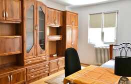 Apartament cu 3 camere, 62 mp, Pet-Friendly, zona Big