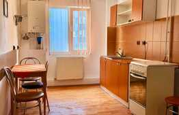 Apartament cu 3 camere, 62 mp, Pet-Friendly, zona Big