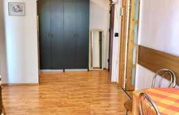 Apartament cu 3 camere, 62 mp, Pet-Friendly, zona Big