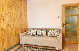 Apartament cu 3 camere, 62 mp, Pet-Friendly, zona Big