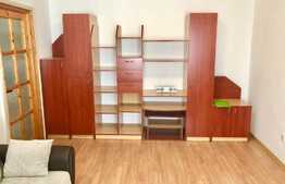 Apartament cu 3 camere, 62 mp, Pet-Friendly, zona Big
