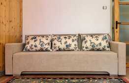 Apartament cu 3 camere, 62 mp, Pet-Friendly, zona Big