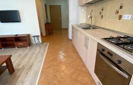 Apartament 3 camere, doua balcoane, zona strazii Porii!