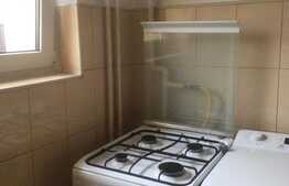 Garsoniera 30 mp, recent renovata, zona Farmec