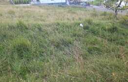 Reducere de pret! Teren de vanzare 600mp ,in Borhanci