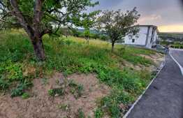 Reducere de pret! Teren de vanzare 600mp ,in Borhanci