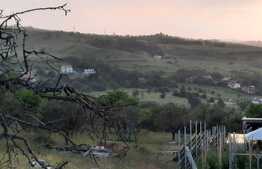 Reducere de pret! Teren de vanzare 600mp ,in Borhanci