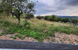 Reducere de pret! Teren de vanzare 600mp ,in Borhanci