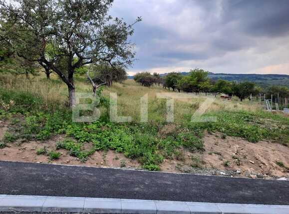 Teren de vânzare Borhanci - 52701TV | BLITZ Cluj-Napoca | Poza2