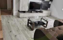 Apartament cu 2 camere, 43 mp, pet friendly, prima inchiriere, zona centrala