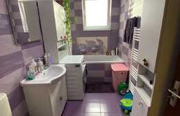 Apartament cu 3 camere, 60 mp, etaj intermediar, zona strazii Cetatii