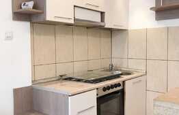 Apartament 1 camera, 32mp, zona strazii Brancusi