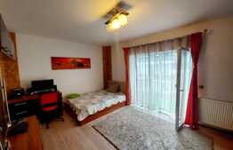 Pret avantajos! Apartament 2 camere, decomandat, parcare, zona strazii Stejarului!