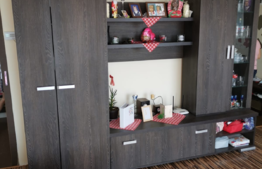 Apartament 2 camere, 50 mp, zona Padurii Faget!