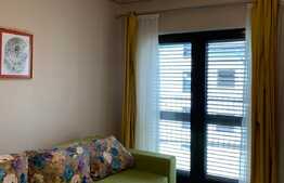 Apartament cu o camera, 40 mp, parcare, zona Iulius Mall