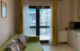 Apartament cu o camera, 40 mp, parcare, zona Iulius Mall