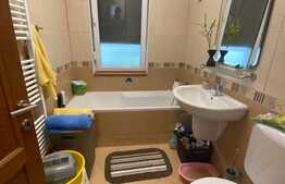 Apartament cu 3 camere, 67 mp, la cheie, gradina, zona Eroilor