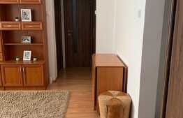 Apartament cu 3 camere, 43 mp, etaj intermediar, zona strazii Mehedinti