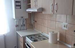 Apartament cu 2 camere, 50 mp, pet friendly, zona Iulius Mall