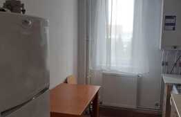 Apartament cu 2 camere, 50 mp, pet friendly, zona Iulius Mall