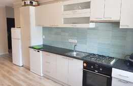 Apartament modern, 4 camere, 2 nivele! Zona strazii Stejarului!