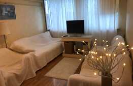 Apartament de vanzare, 47 mp, central