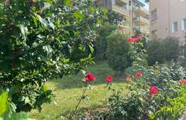 Casa individuala, 600 mp, curte de 1500 mp, zona Grand Hotel Italia