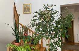 Casa individuala, 600 mp, curte de 1500 mp, zona Grand Hotel Italia