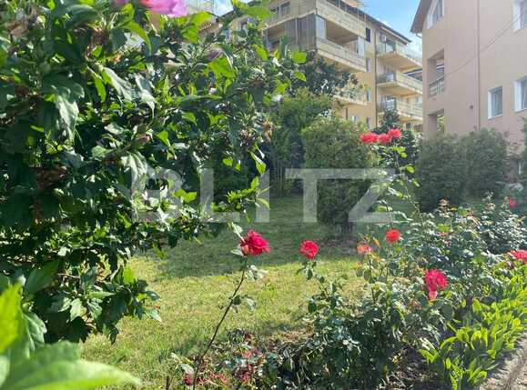 Spațiu comercial de închiriat Andrei Mureşanu - 52807SIC | BLITZ Cluj-Napoca | Poza14