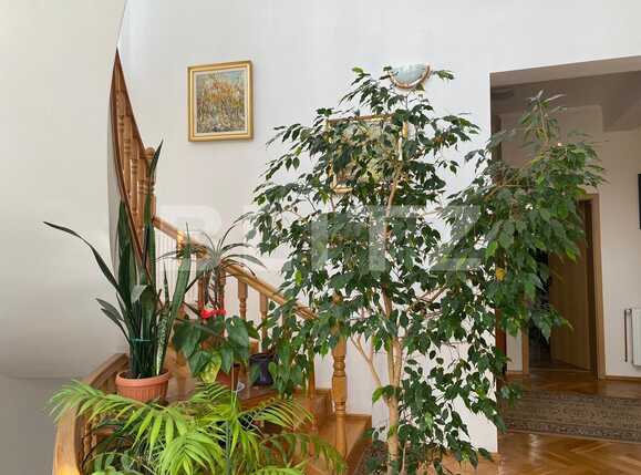 Spațiu comercial de închiriat Andrei Mureşanu - 52807SIC | BLITZ Cluj-Napoca | Poza8